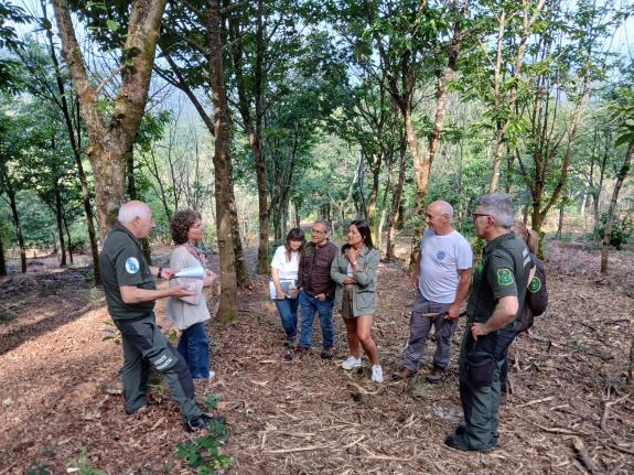 Imagen de la noticia:Medio Rural promueve trabajos silvícolas preventivos en más de 10 hectáreas de monte en Noia