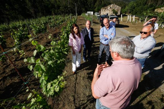 Imaxe da nova:María José Gómez destaca as potencialidades do territorio galego e a diversidade produtiva durante a visita á finca A Azoreira do V...