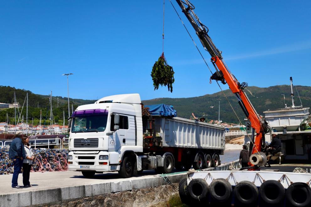 Imagen 1 de 7 asociada a la noticia