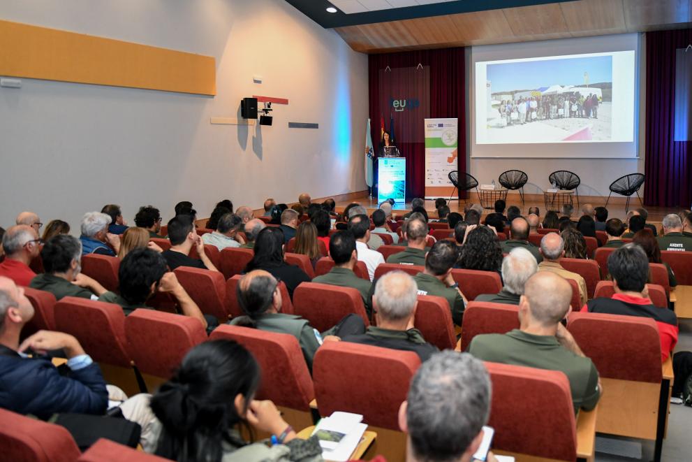 Imaxe 4 de 7 asociada á nova