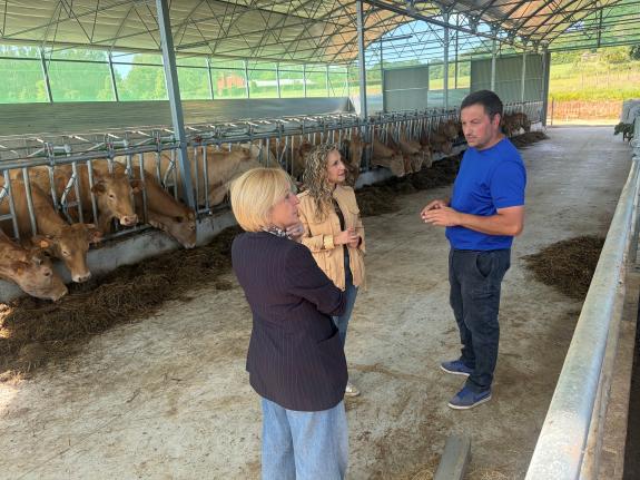 Imagen de la noticia:Medio Rural dedica 8,6 M€ a la modernización de equipamientos agrarios y a la mitigación del cambio climático