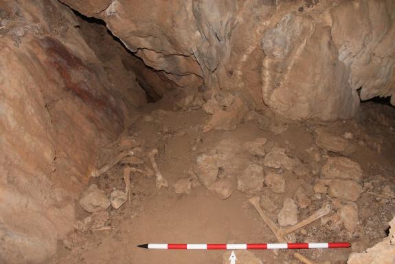 Imaxe da nova:A Xunta organiza unha xornada no parque natural da Serra da Enciña da Lastra para dar a coñecer os avances na investigación sobre a...