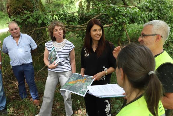 Imaxe da nova:Medio Rural salienta as agrupacións forestais de xestión conxunta como ferramentas útiles a prol dun monte sostible e fronte ao aba...