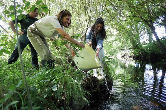 Imagen de la noticia:La Xunta aboga por un modelo de pesca sostenible que cuente con el apoyo del sector como elemento clave para la protección d...
