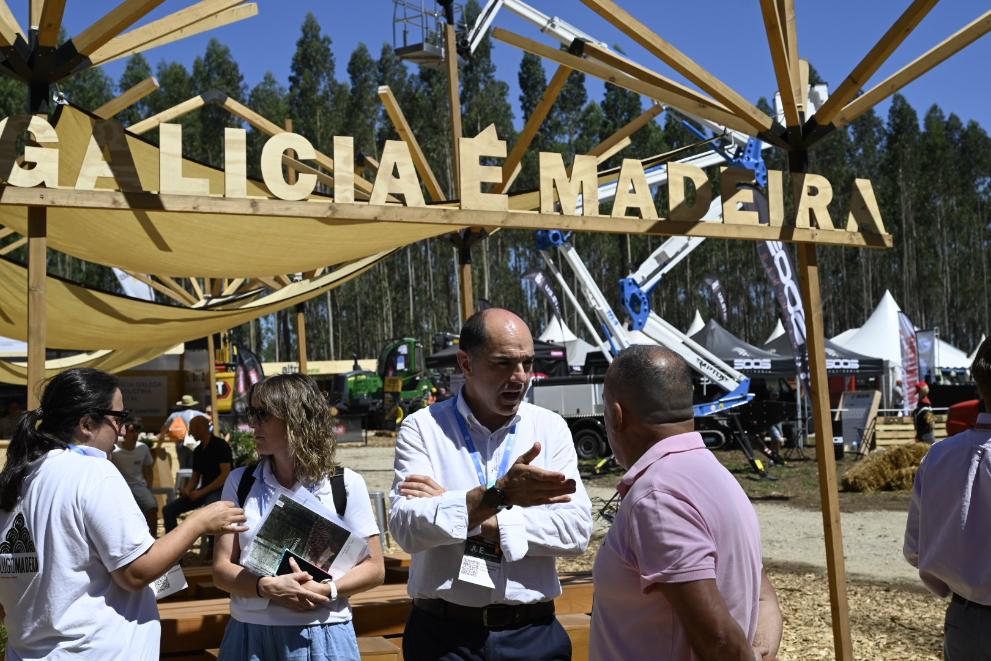 Imagen 4 de 5 asociada a la noticia