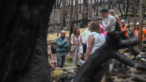 Imaxe da nova:A Xunta salienta a axilidade de Augas de Galicia para acometer actuacións de conservación fluvial en ríos de Padrón e evitar arrast...