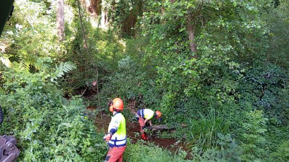 Imagen de la noticia:La Xunta realiza labores de conservación fluvial en más de 1 kilómetro del río Magalofes y del regato Foxas, en Fene