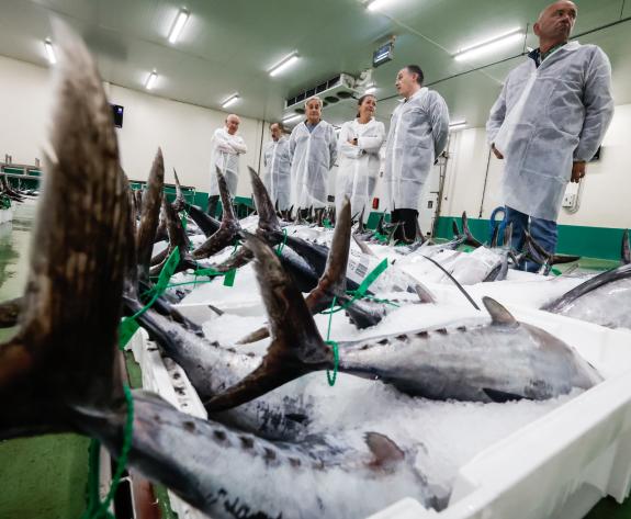 Imaxe da nova:Villaverde asiste á poxa de bonito e pescada na lonxa de Burela e destaca a importancia de promocionar o consumo de peixe e a cultu...