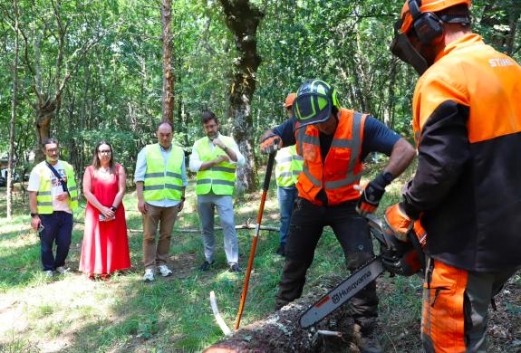 Imagen de la noticia:La Xunta refuerza la formación en prevención de riesgos laborales en el sector forestal con un nuevo curso del Issga en Lalí...
