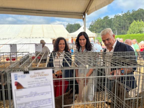 Imaxe da nova:Belén do Campo destaca na Festa do Galo Piñeiro o valor desta cita como referente das tradicións do rural galego