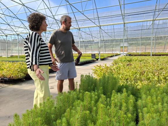 Imaxe da nova:Medio Rural destaca o valor da rede galega de máis de 80 viveiros que producen preto de 10 millóns de plantas forestais de alta cal...