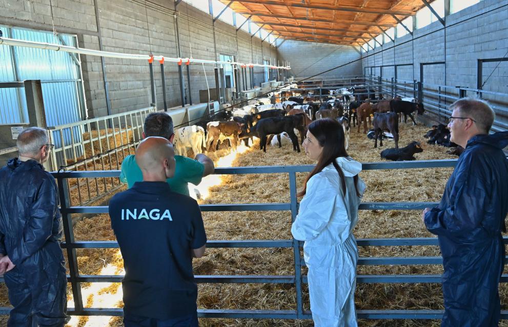 Imaxe 3 de 3 asociada á nova