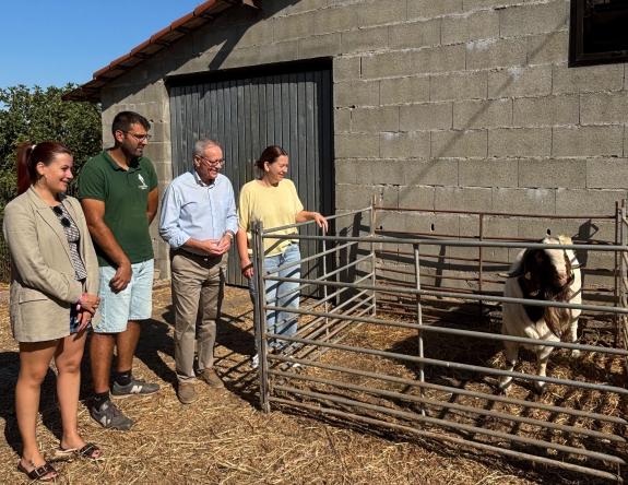Imaxe da nova:Medio Rural destaca que Galicia é un referente en diversificación e mellora xenética do gando