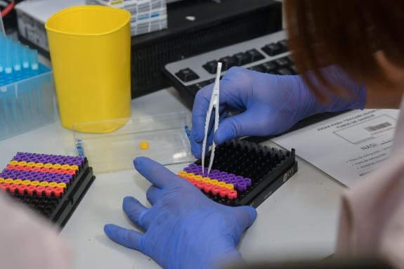 Imagen de la noticia:El Proyecto Xenoma Galicia permitió detectar ya 42 personas con variantes genéticas de riesgo entre las 2.504 muestras que s...