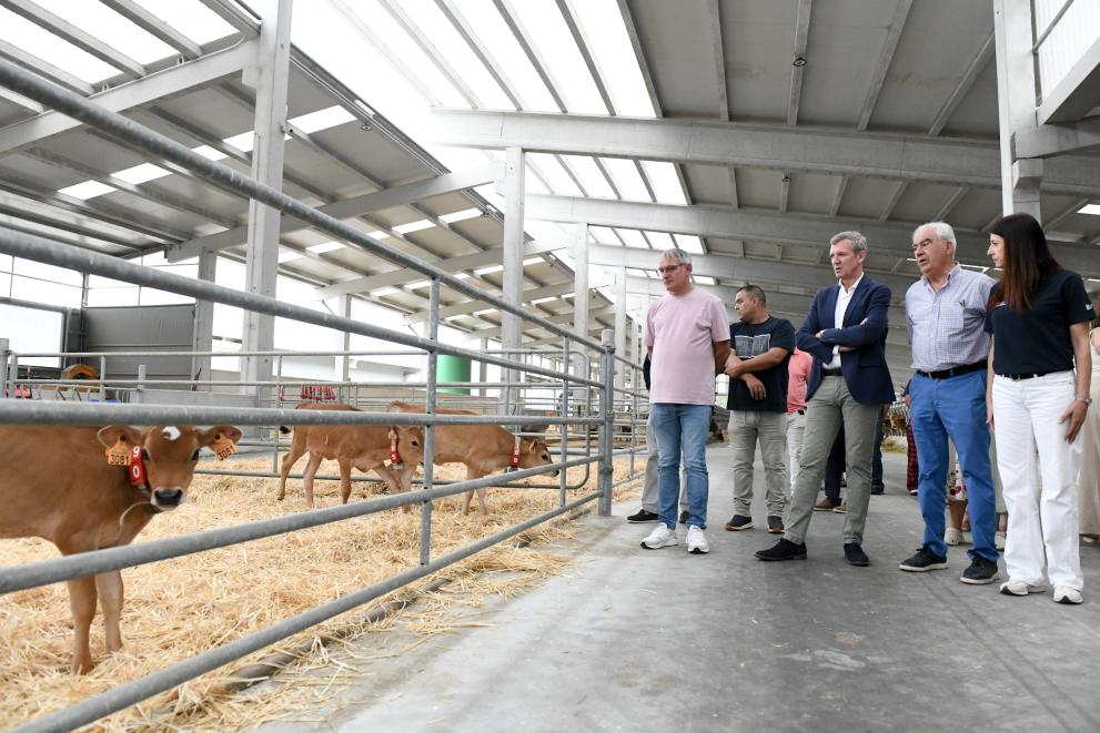 Imagen 5 de 9 asociada a la noticia