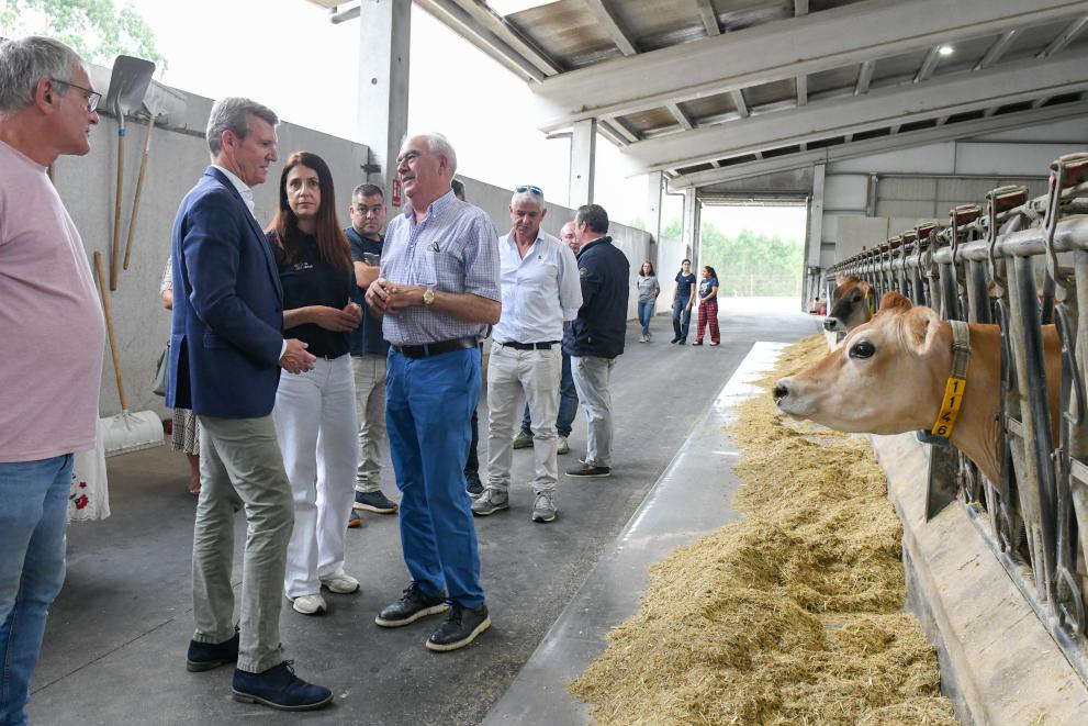 Imagen 8 de 9 asociada a la noticia
