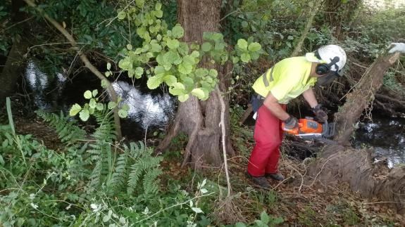 Imaxe da nova:A Xunta realiza labores de conservación fluvial en máis de 4,25 quilómetros de varios ríos, no concello pontevedrés de Caldas de Re...