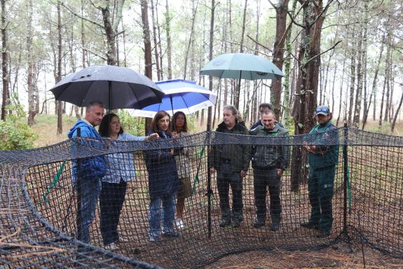 Imaxe da nova:A Xunta pon en valor o traballo da nova Unidade de investigación de conservación da natureza, que coloca a Galicia á vangarda en pr...