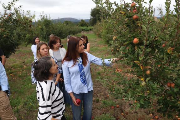 Imaxe da nova:María José Gómez salienta Galicia como potencia do sector da mazá para sidra, que este ano adianta a súa campaña de colleita