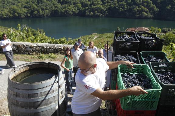 Imagen de la noticia:María José Gómez destaca la calidad y el reconocimiento internacional de los vinos de la Ribeira Sacra