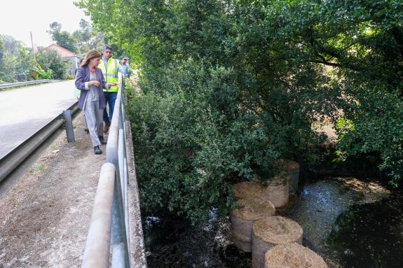A Xunta mantén o dispositivo de vixilancia, control e contención nos tramos fluviais afectados polo vertido de puríns dunha explotación en Tordoia