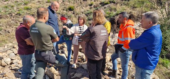 Imaxe da nova:Medio Rural inviste máis de 670.000 euros na recuperación de zonas afectadas por incendios forestais en Viana do Bolo