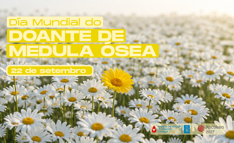 Imagen 1 de 1 asociada a la noticia