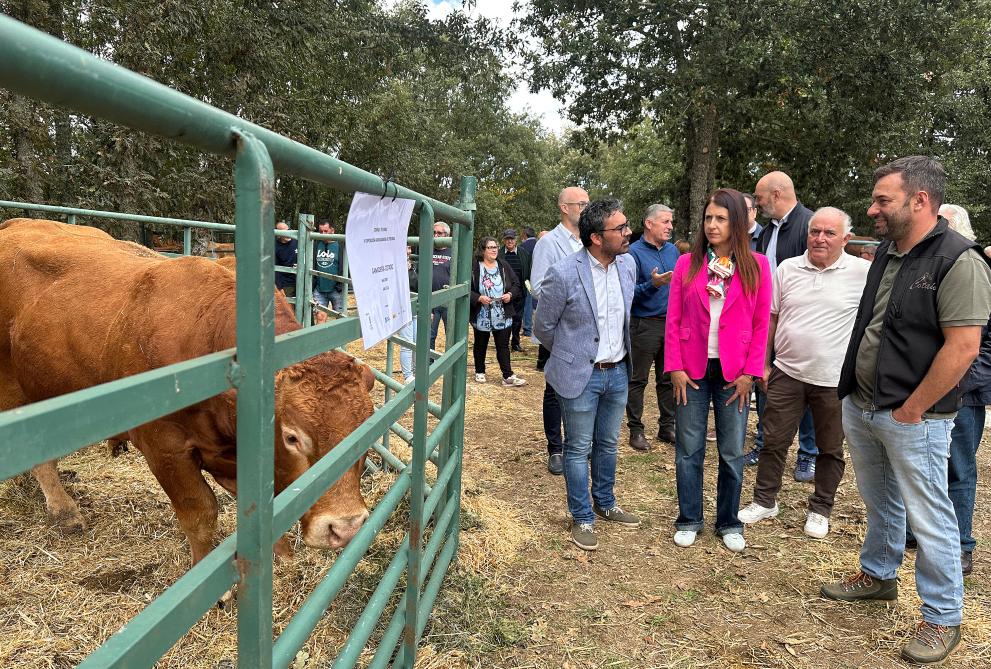 Imagen 1 de 3 asociada a la noticia