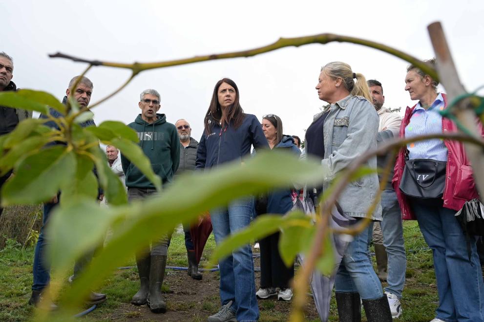 Imagen 1 de 3 asociada a la noticia