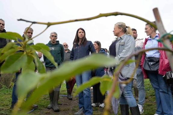Imagen de la noticia:María José Gómez destaca el potencial del aguacate para abrir nuevas oportunidades en el sector agrario