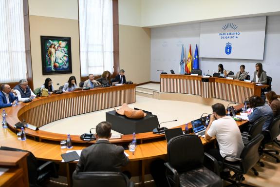 Imaxe da nova:Botana explica no Parlamento que Portos de Galicia xa tramitou as solicitudes municipais de reversión ao estado de terreos portuari...