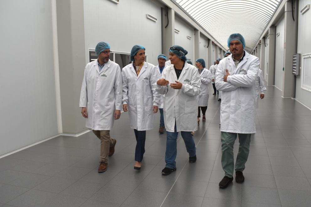 Imagen 3 de 3 asociada a la noticia