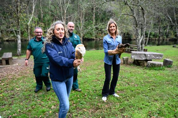 Imaxe da nova:A Xunta devolve ás Fragas do Eume un miñato e unha curuxa recuperados no centro da fauna silvestre
