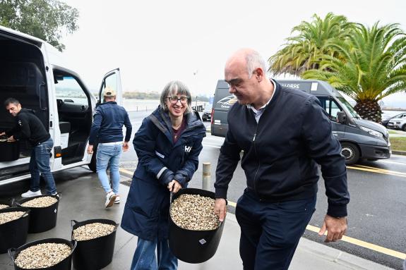 Imagen de la noticia:La Xunta realiza una nueva siembra de almeja babosa en Barallobre para contribuir a recuperar el marisqueo en la ría de Ferr...
