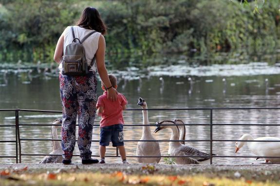 Imagen de la noticia:La Xunta lamenta la falta de diálogo del Gobierno central con la Ley de Familias, que afectará negativamente a las numerosas...