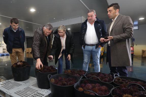 Imaxe da nova:A Xunta apoiou o ano pasado con preto de 2 M€ máis de 20 proxectos de mellora nas infraestruturas portuarias da provincia de Pontev...