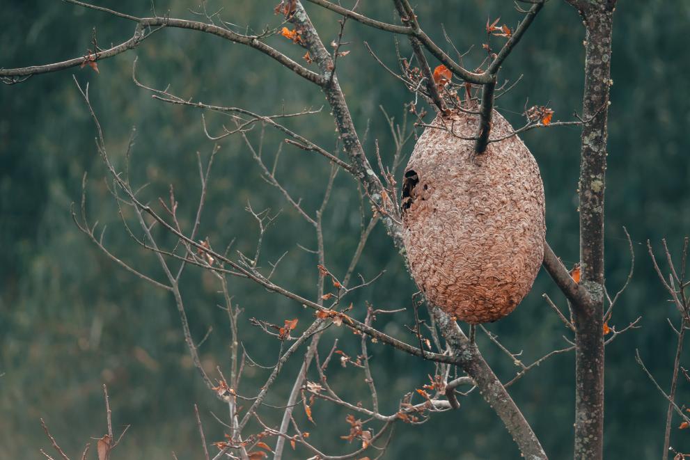 Imagen 1 de 2 asociada a la noticia