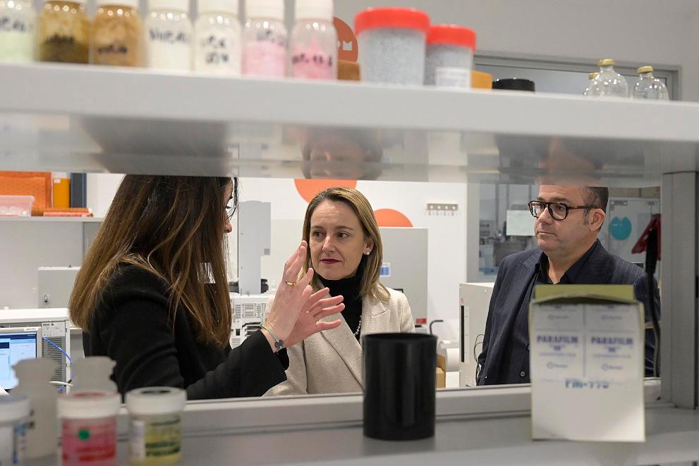 Imaxe 3 de 4 asociada á nova