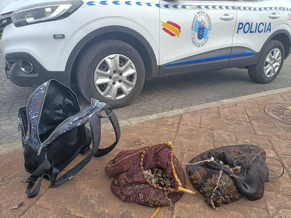 Imaxe 1 de 2 asociada á nova