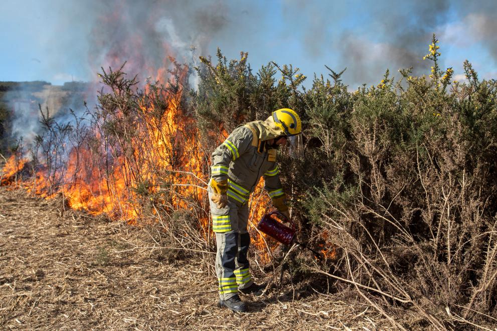 Imagen 5 de 10 asociada a la noticia