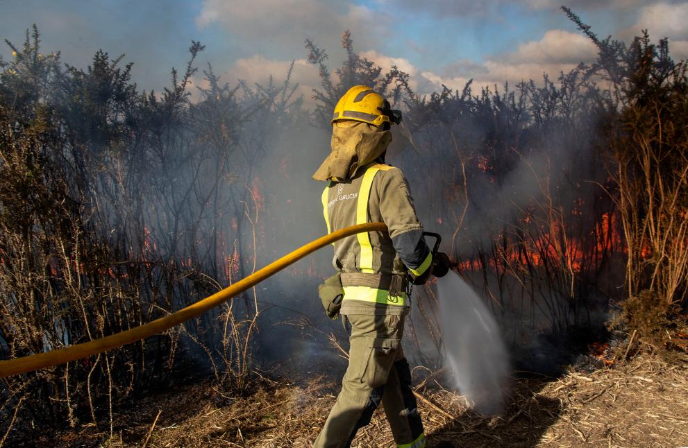 Imagen 6 de 10 asociada a la noticia