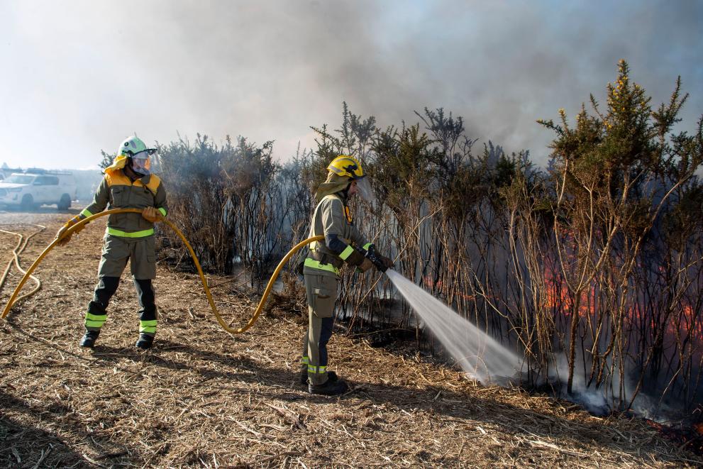 Imagen 8 de 10 asociada a la noticia