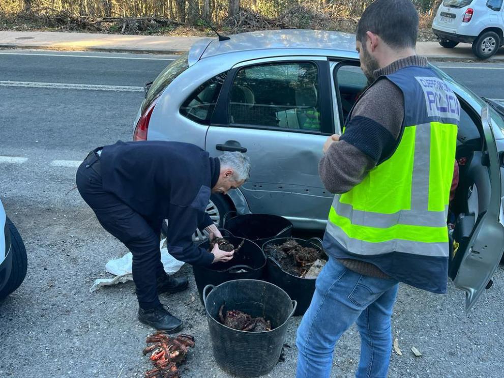 Imaxe 1 de 2 asociada á nova