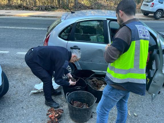 Imagen de la noticia:La Policía Autonómica decomisa en colaboración con Gardacostas de Galicia 21 kilos de centollo, 9 kilos de choco y 3 kilos d...