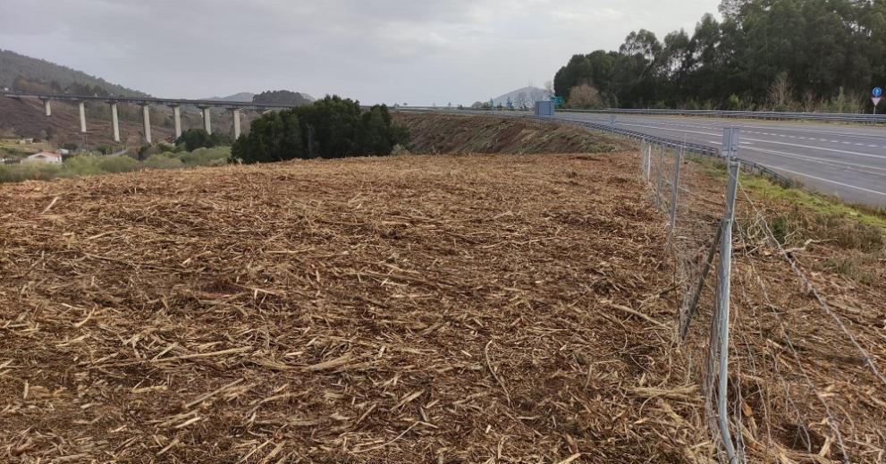 Imagen 2 de 3 asociada a la noticia