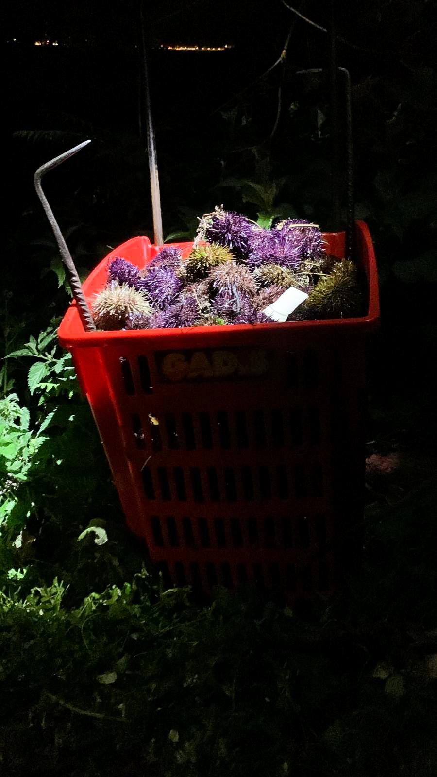 Imagen 2 de 2 asociada a la noticia