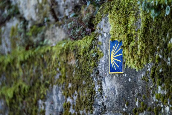 Imagen de la noticia:La Xunta convoca el XXIV Premio Elías Valiña, de reconocimiento a entidades y personas a favor del Camino de Santiago