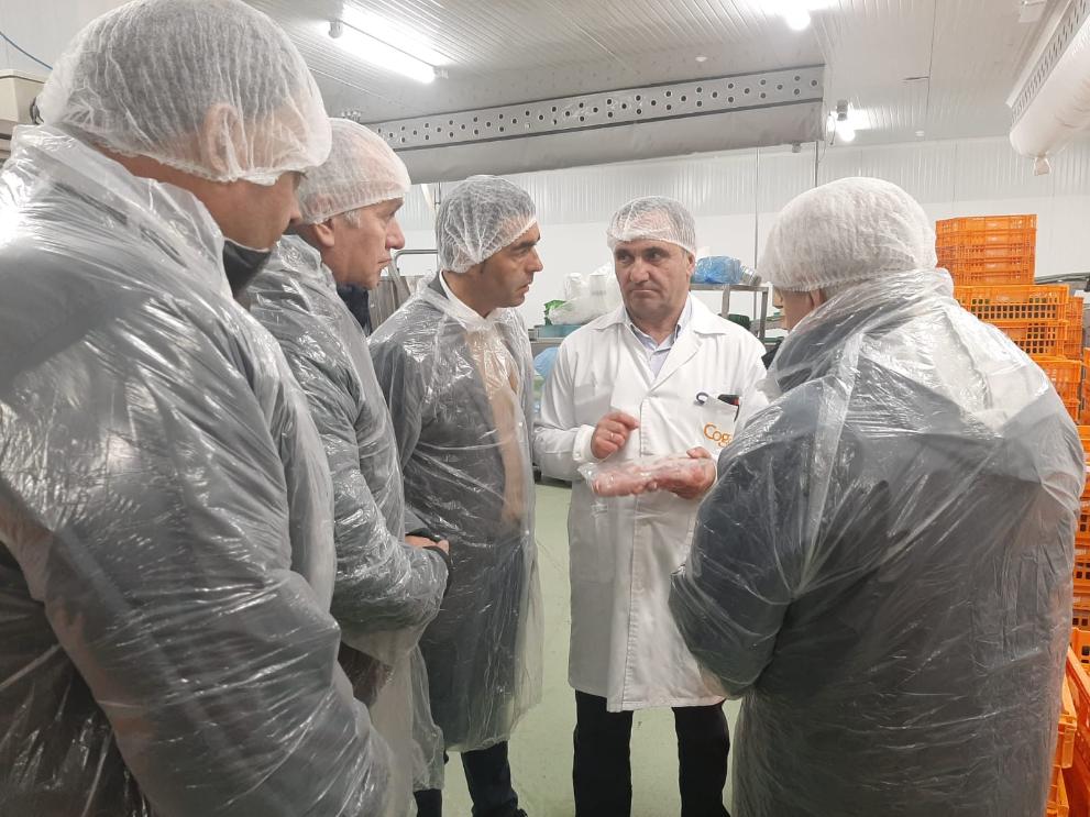 Imagen 2 de 4 asociada a la noticia