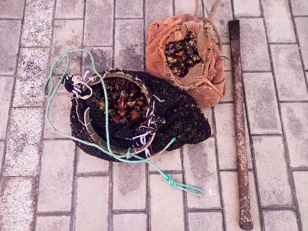 Imaxe 1 de 1 asociada á nova