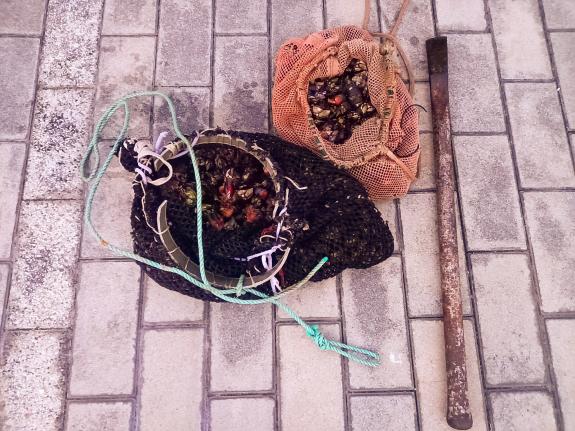 Imagen de la noticia:La Policía Autonómica decomisa cuatro kilos de percebe en A Coruña